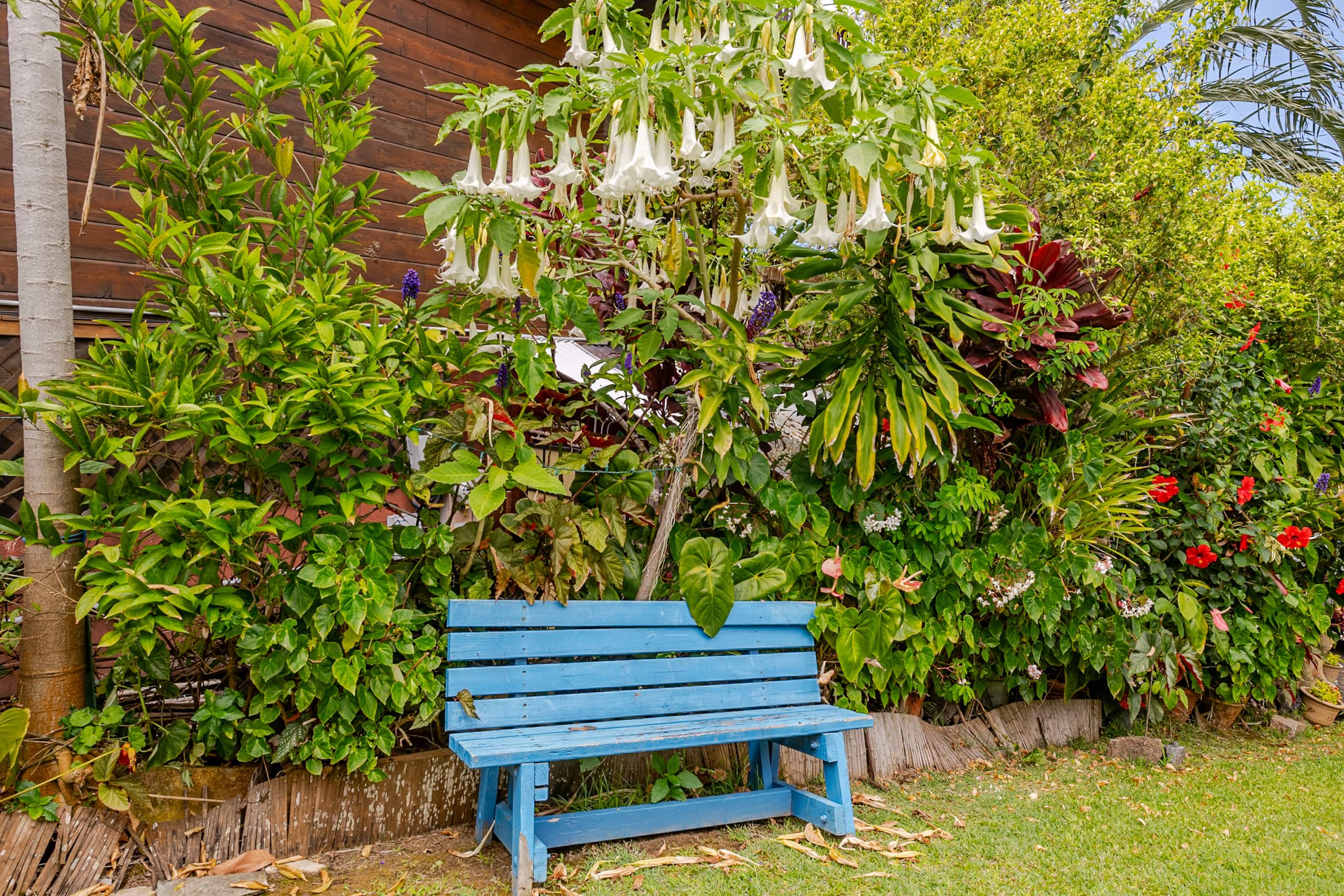 Home in Kailua-Kona · ★4.96 · 1 bedroom · 1 bed · 1 private bath - Image 17