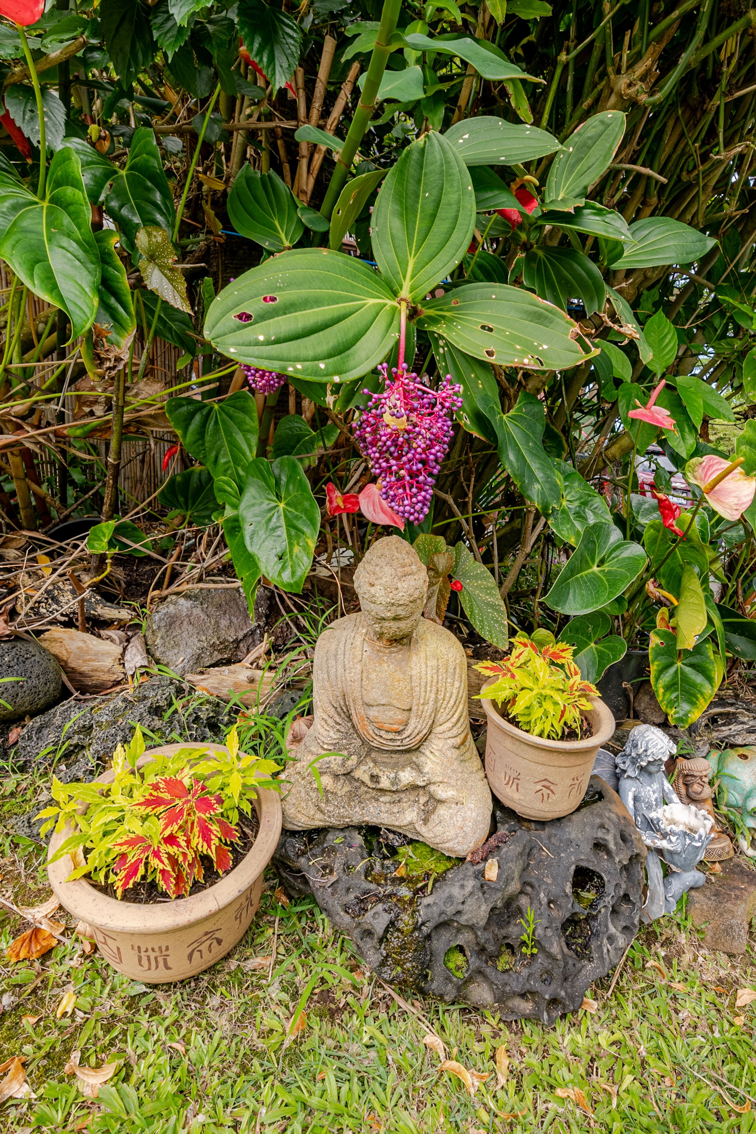 Home in Kailua-Kona · ★4.96 · 1 bedroom · 1 bed · 1 private bath - Image 22