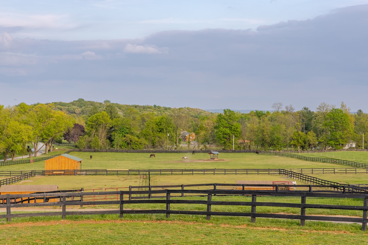 Cottage on Horse Farm: Wineries/Breweries, Horses! - Cottages for Rent in  Bluemont, Virginia, United States - Airbnb