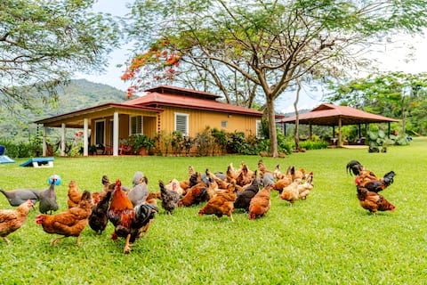 Hacienda del Río, Bonao - Doña Celia Eco Farm House