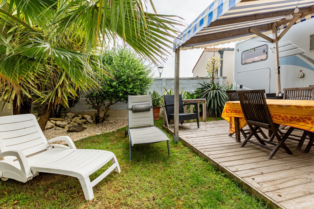 An outdoor space is complemented by a sunny terrace featuring a dining table and wooden chairs. A lounge chair offers relaxation next to lush greenery and palm trees, while light wood decking provides a warm setting for gatherings.
