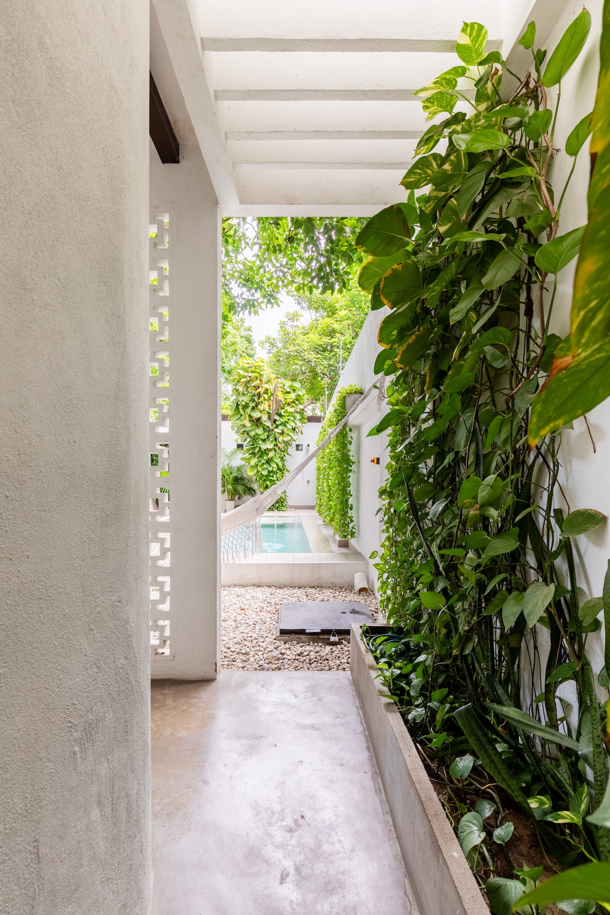 A narrow corridor is flanked by lush green plants and minimalistic walls. Natural light filters through openings, leading to a private pool visible at the end of the pathway, surrounded by smooth pebbles and vibrant foliage.