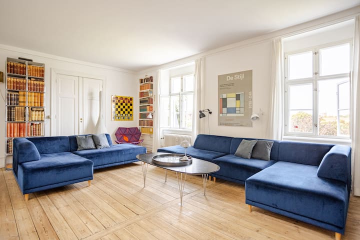 Fantastic View Central Copenhagen Kings Garden