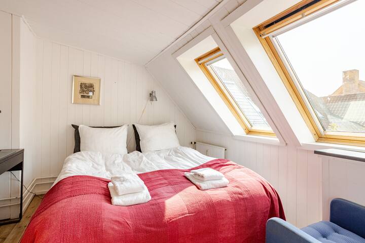 Fantastic View Central Copenhagen Kings Garden gallery image 3