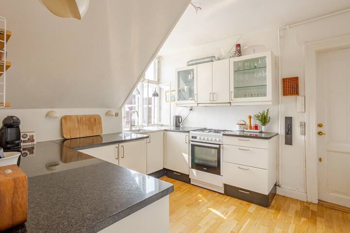 Fantastic View Central Copenhagen Kings Garden gallery image 5