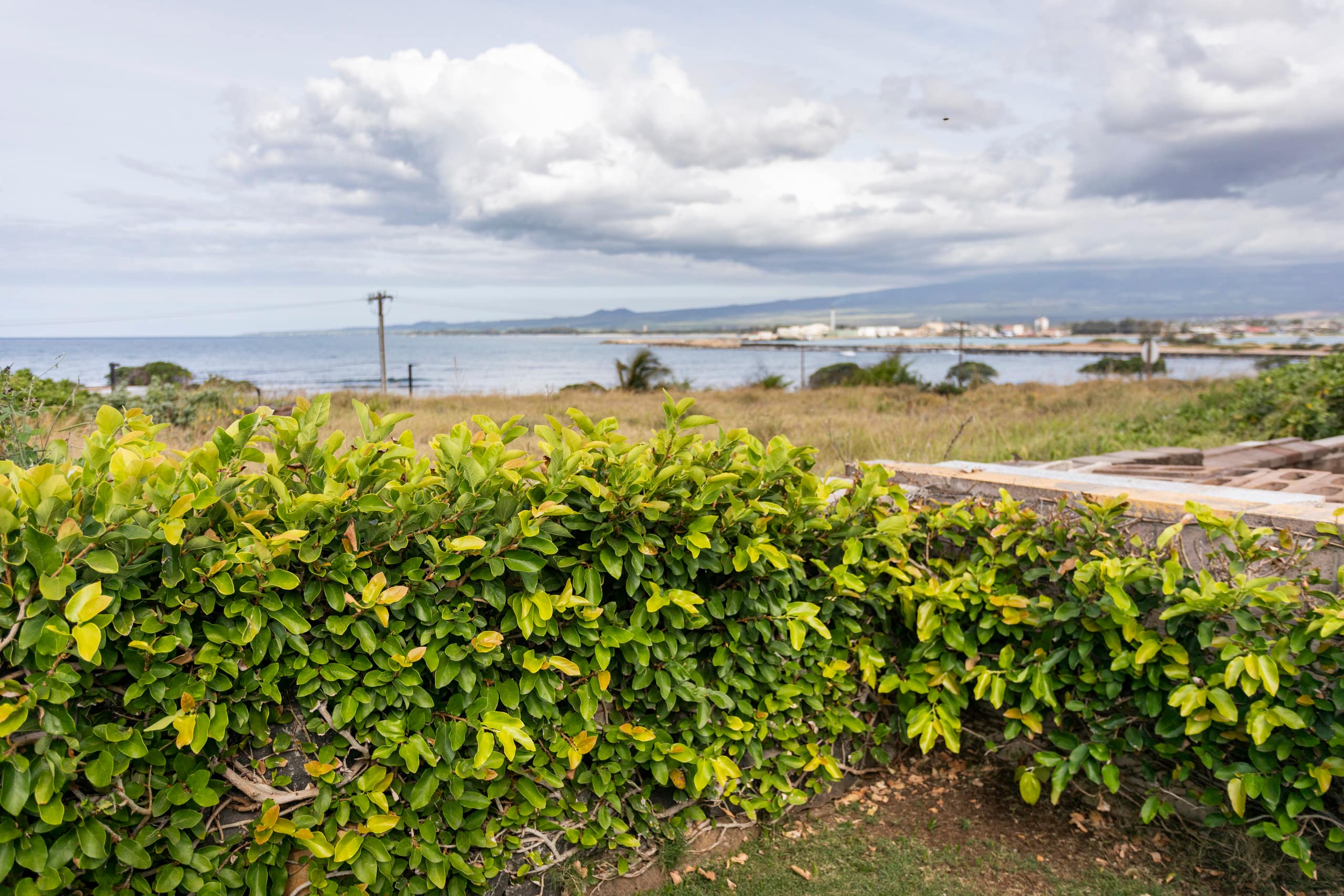 Oceanview, Banana Bread, Hot Tub & Sauna near OGG - Image 35