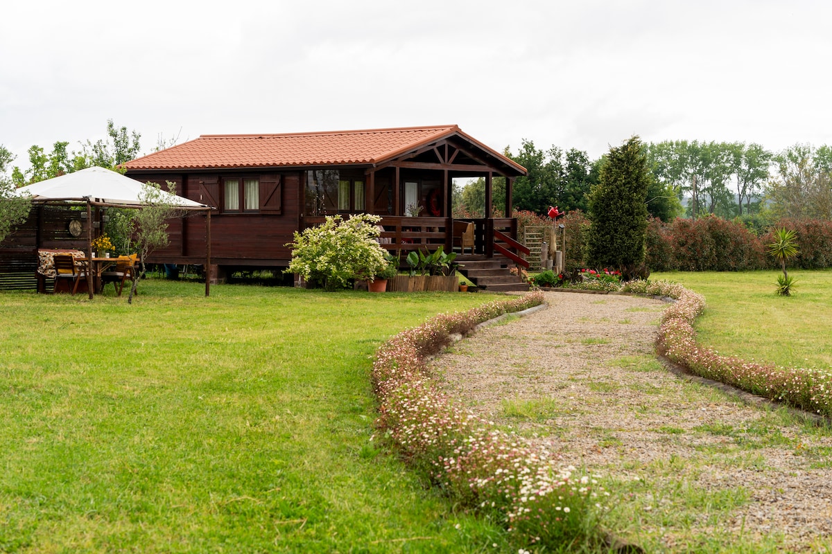 A wooden bungalow is set against a green landscape, with a gravel pathway leading to the entrance. Flowerbeds border the path, and outdoor seating is arranged under a shaded umbrella. Lush greenery and decorative plants enhance the serene surroundings.