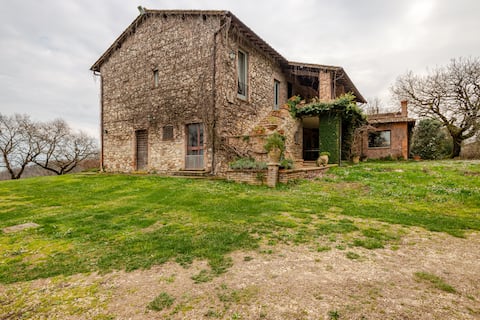 Donkeys and Roses - Il Casale