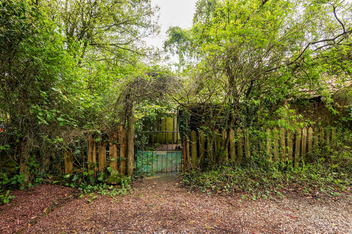 A secure gated entrance is surrounded by lush greenery, with trees and foliage creating a natural archway. A gravel path leads through the gate, inviting exploration into the secluded area beyond. The wooden fence enhances the sense of privacy and tranquility.