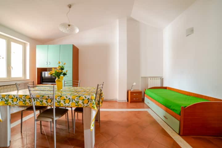 Sala con comedor,  TV,  sofá cama y armario. Balcón y ventana en la terraza. 
Pavimento en terracota con mármol de Carrara