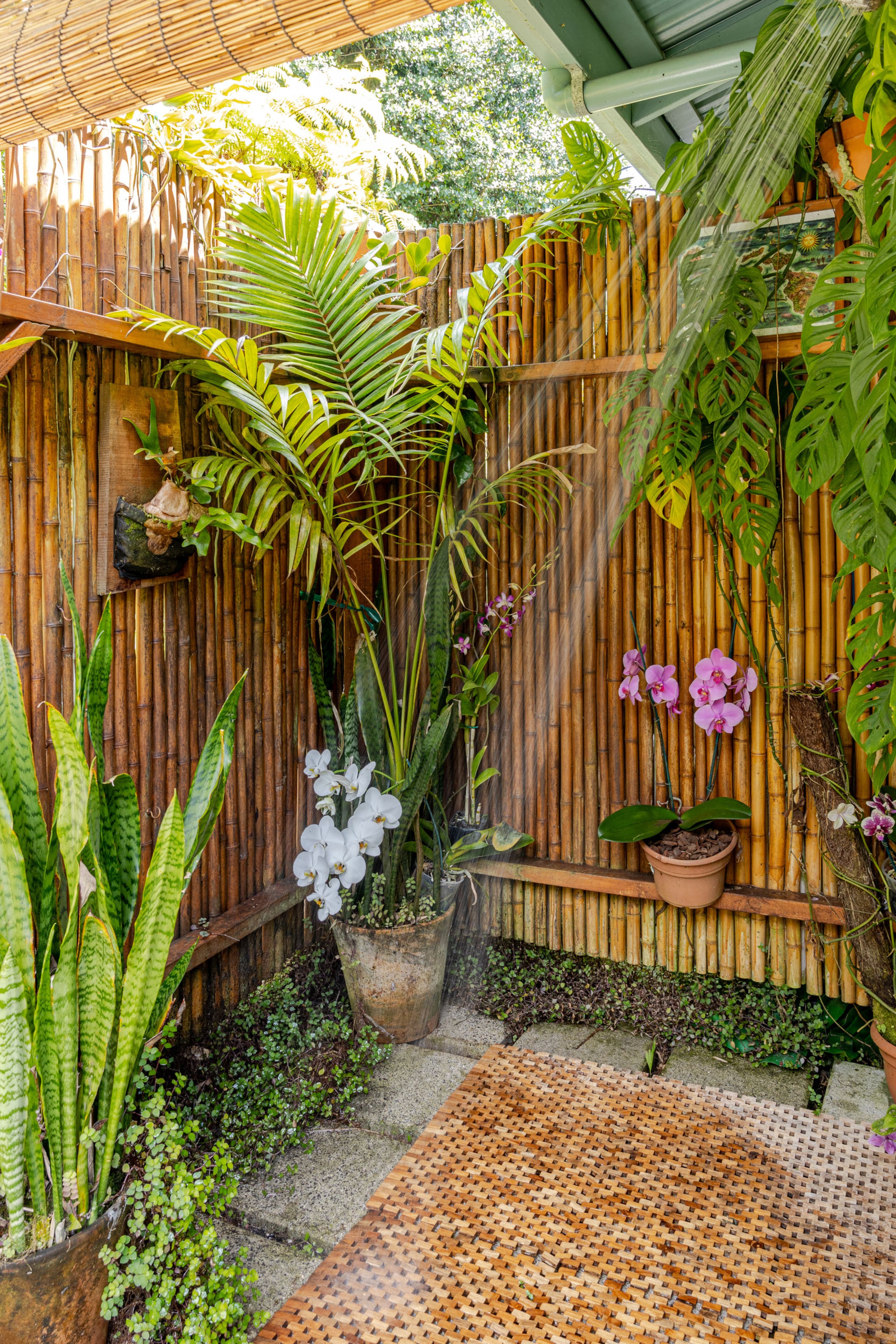 Guesthouse in Keaau · ★4.98 · 1 bedroom · 2 beds · 1 private bath - Image 21