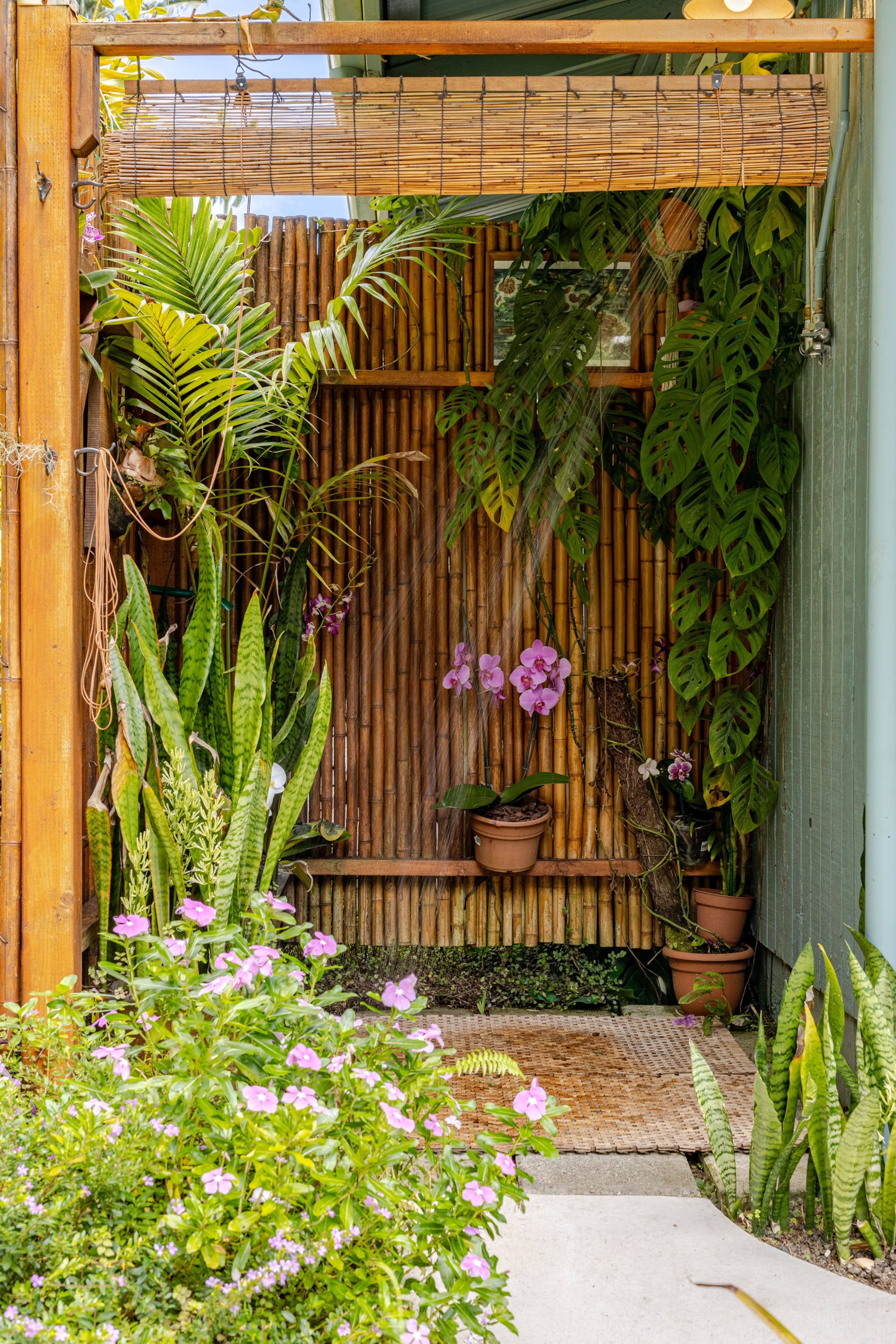 Guesthouse in Keaau · ★4.98 · 1 bedroom · 2 beds · 1 private bath - Image 13