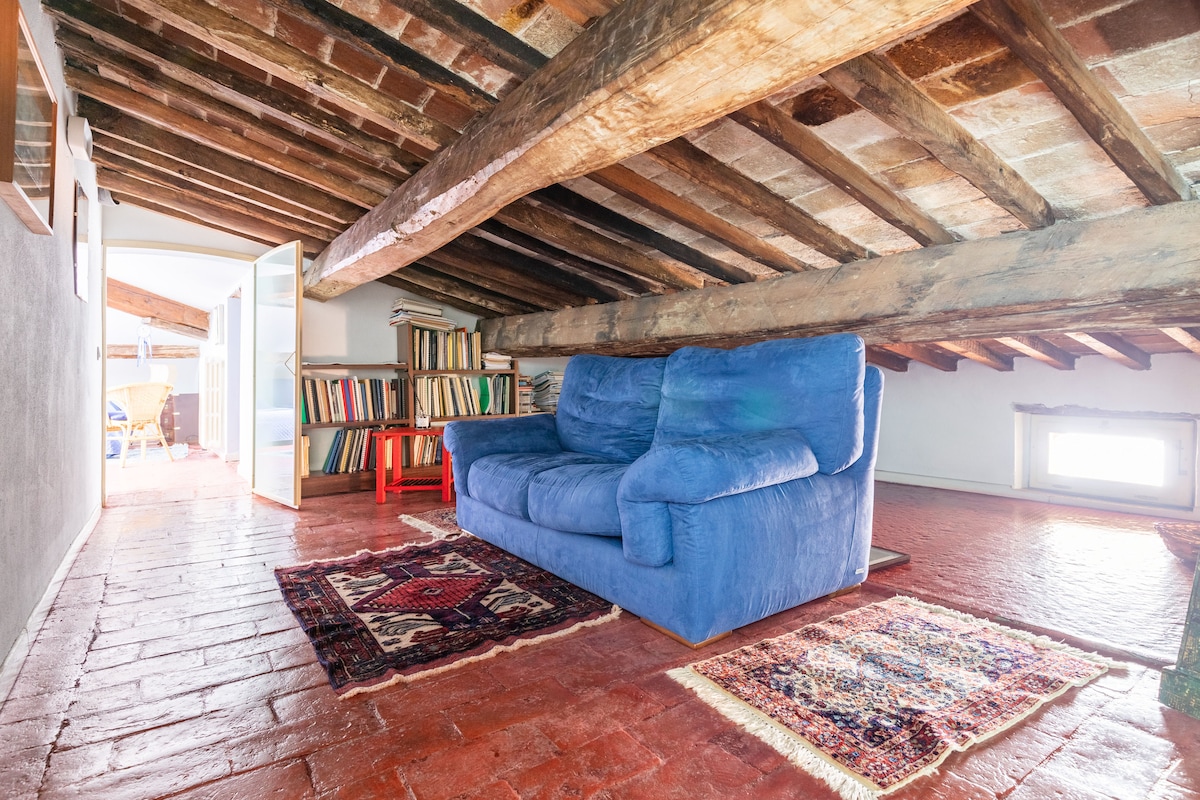 Popular Airbnb listing: among the Leaning Tower and Galileo in Pisa