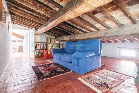 Popular Airbnb listing: among the Leaning Tower and Galileo in Pisa