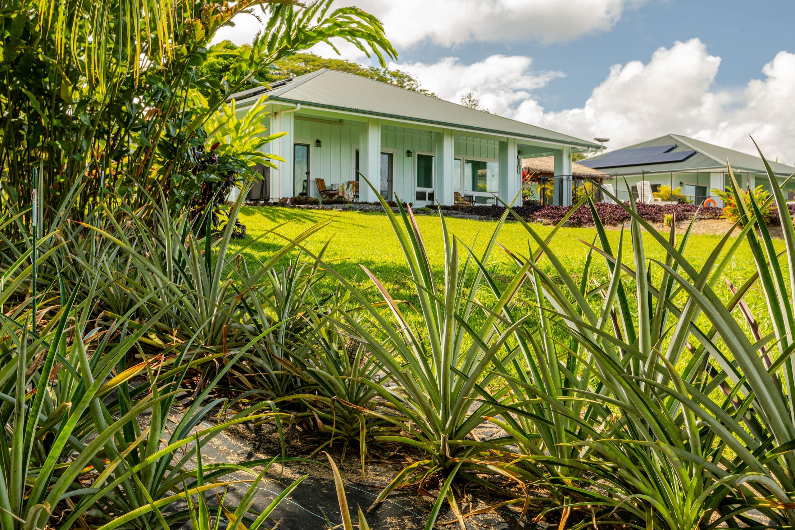 Home in Papaikou · ★4.97 · 2 bedrooms · 3 beds · 2 baths - Photo 79