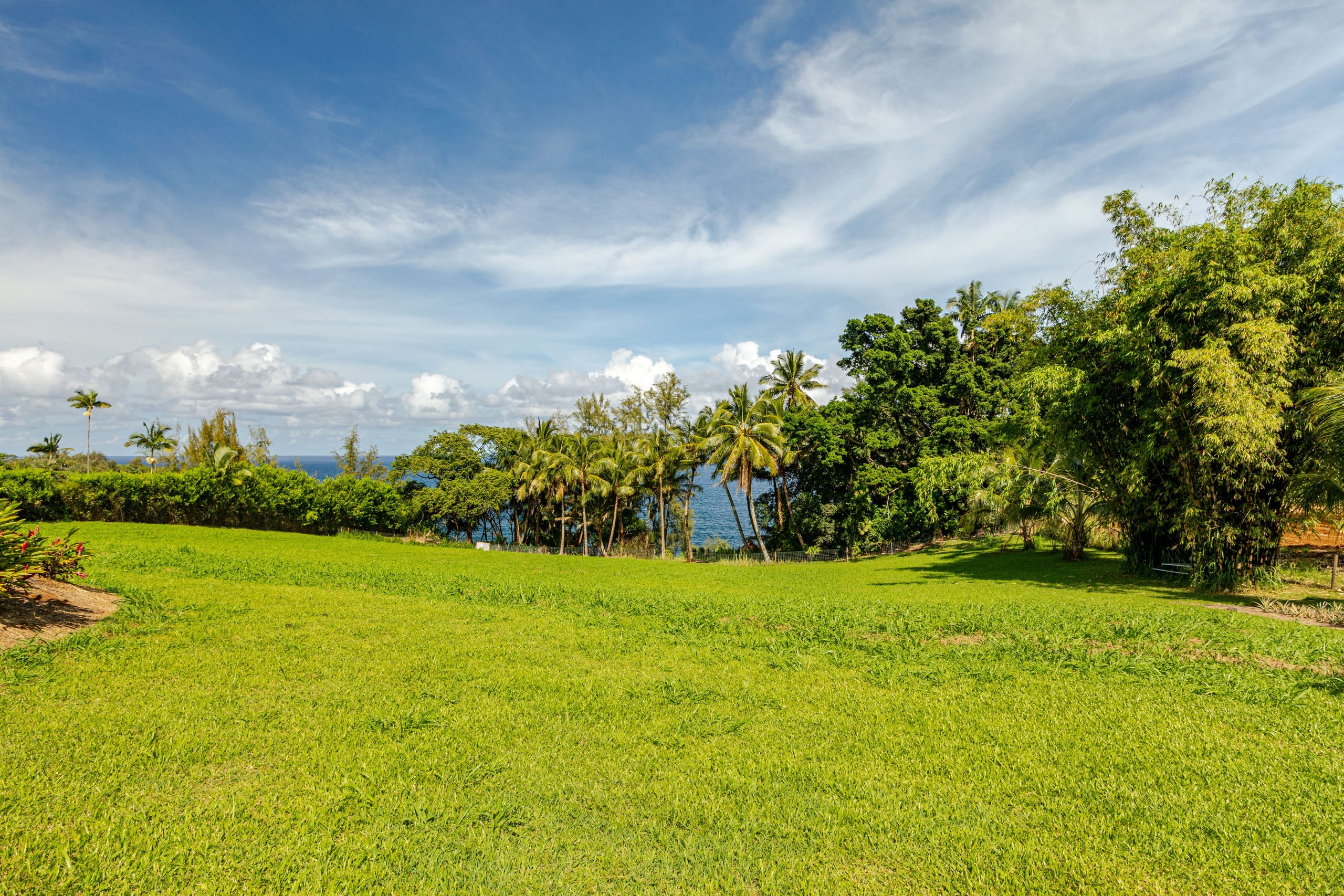 Home in Papaikou · ★4.97 · 2 bedrooms · 3 beds · 2 baths - Photo 45