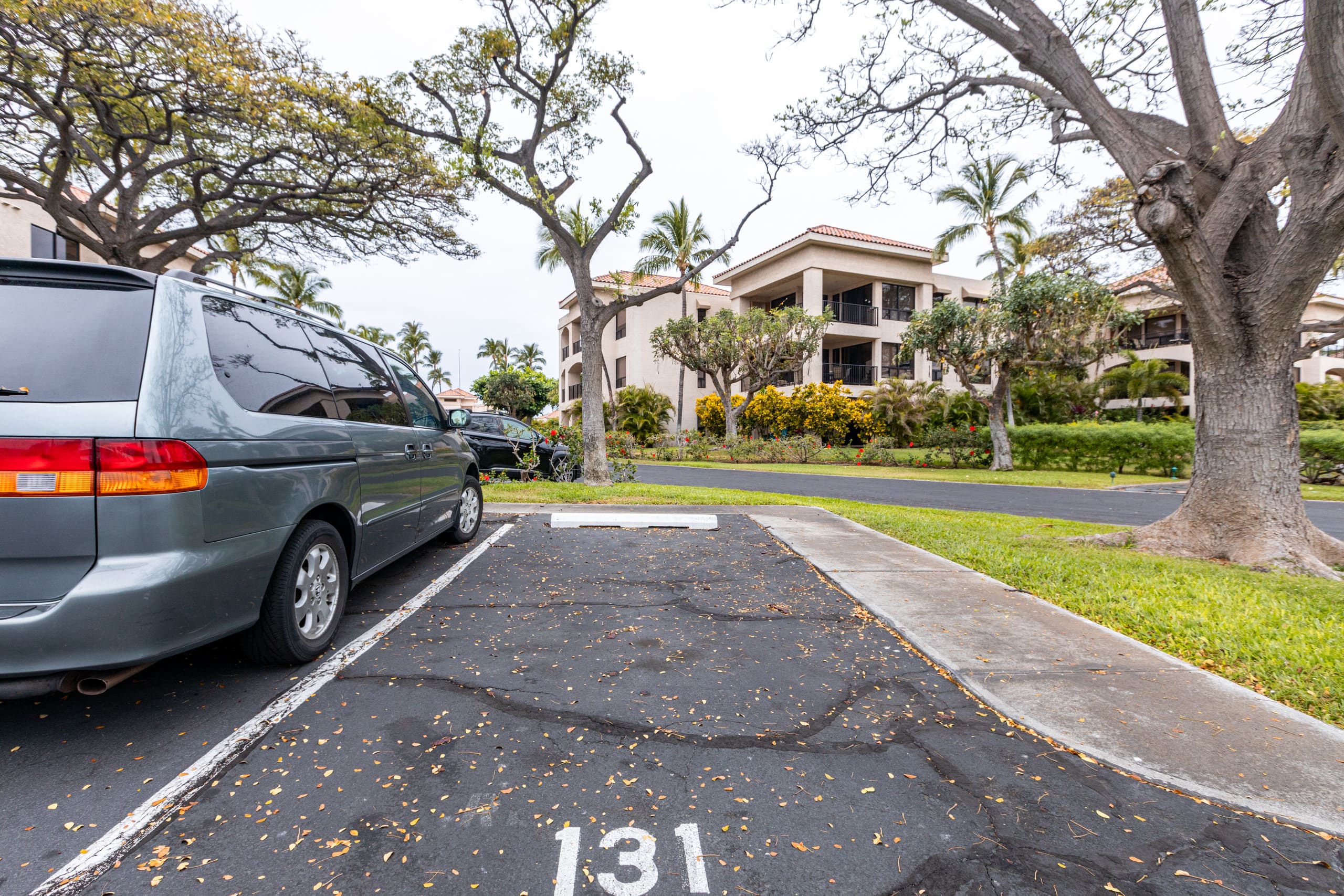 Enjoy lush tropical lifestyle in Waikoloa Resort - Photo 46