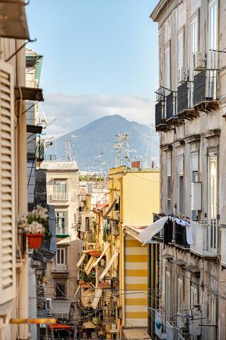 Cocoon in Naples gallery image 2