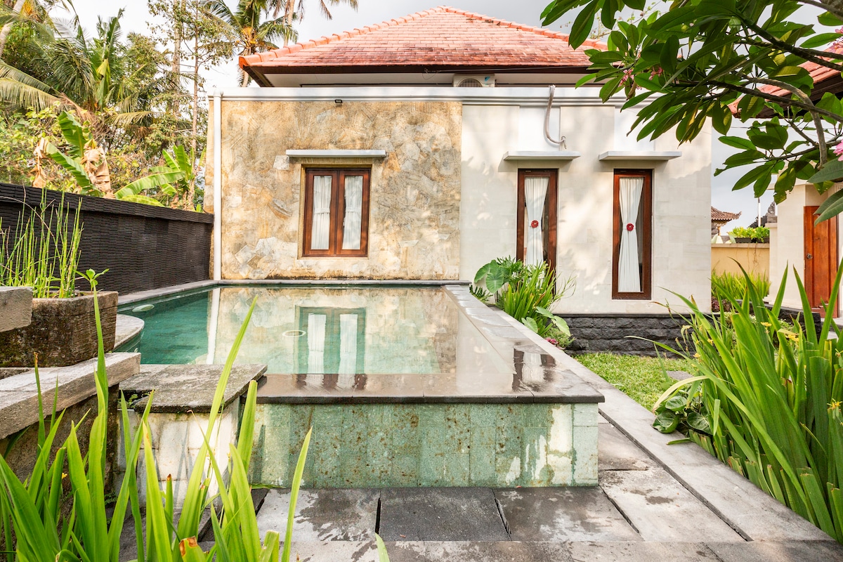 The villa exterior is presented with natural stone walls and traditional wooden doors. A swimming pool is seen adjacent to the property, surrounded by lush green plants. The serene garden and pool area create a peaceful atmosphere, inviting relaxation and outdoor enjoyment.