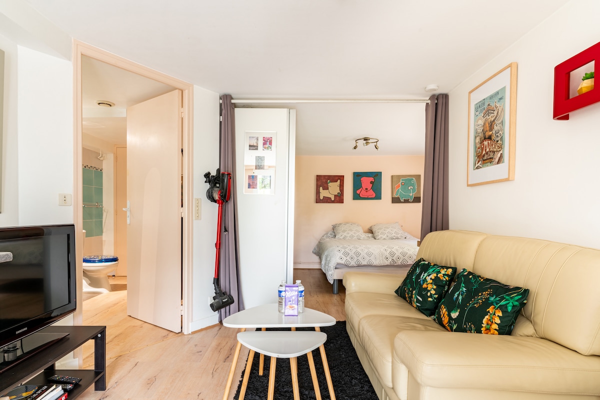 A well-lit studio showcases a comfortable seating area with a light-colored sofa and a small table. A spacious bed is partially visible behind a room divider, complemented by framed artwork on the wall. Soft textile accents enhance the cozy environment.