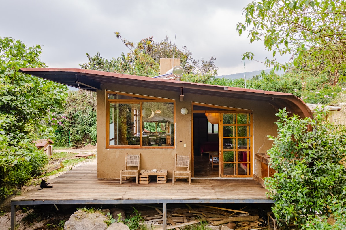 A charming cabin is nestled within lush greenery, featuring large windows that allow natural light to fill the interior. A wooden deck provides space for seating, surrounded by a vibrant garden. The roof has a unique design that complements the natural surroundings.