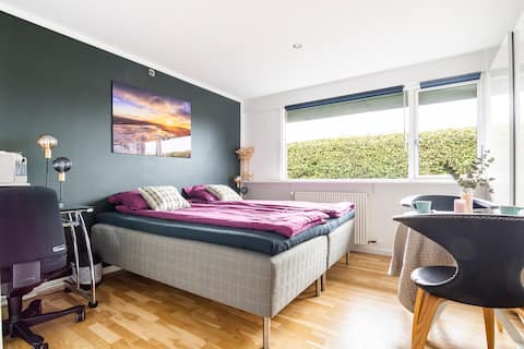 Newly renovated bedroom with own bathroom