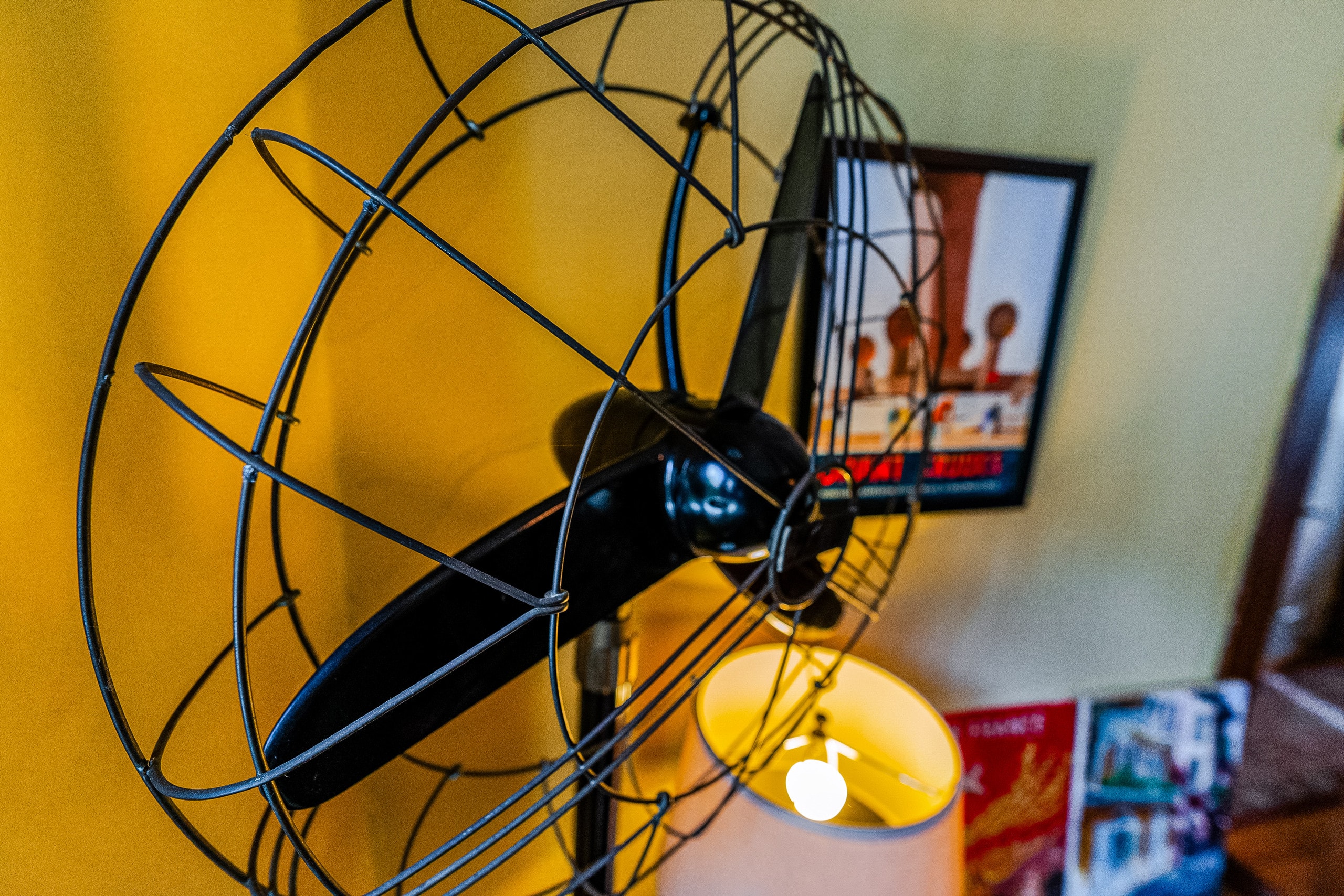 Home in San Francisco · ★4.93 · 3 bedrooms · 3 beds · 1.5 baths - Image 9