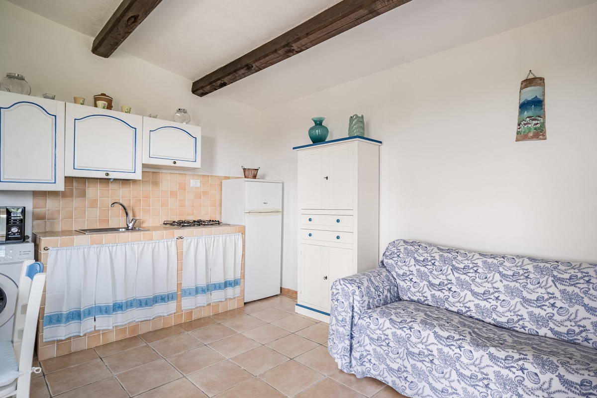 Successful Airbnb property: Villa Matilde with private pool for exclusive use in Santa Teresa Gallura