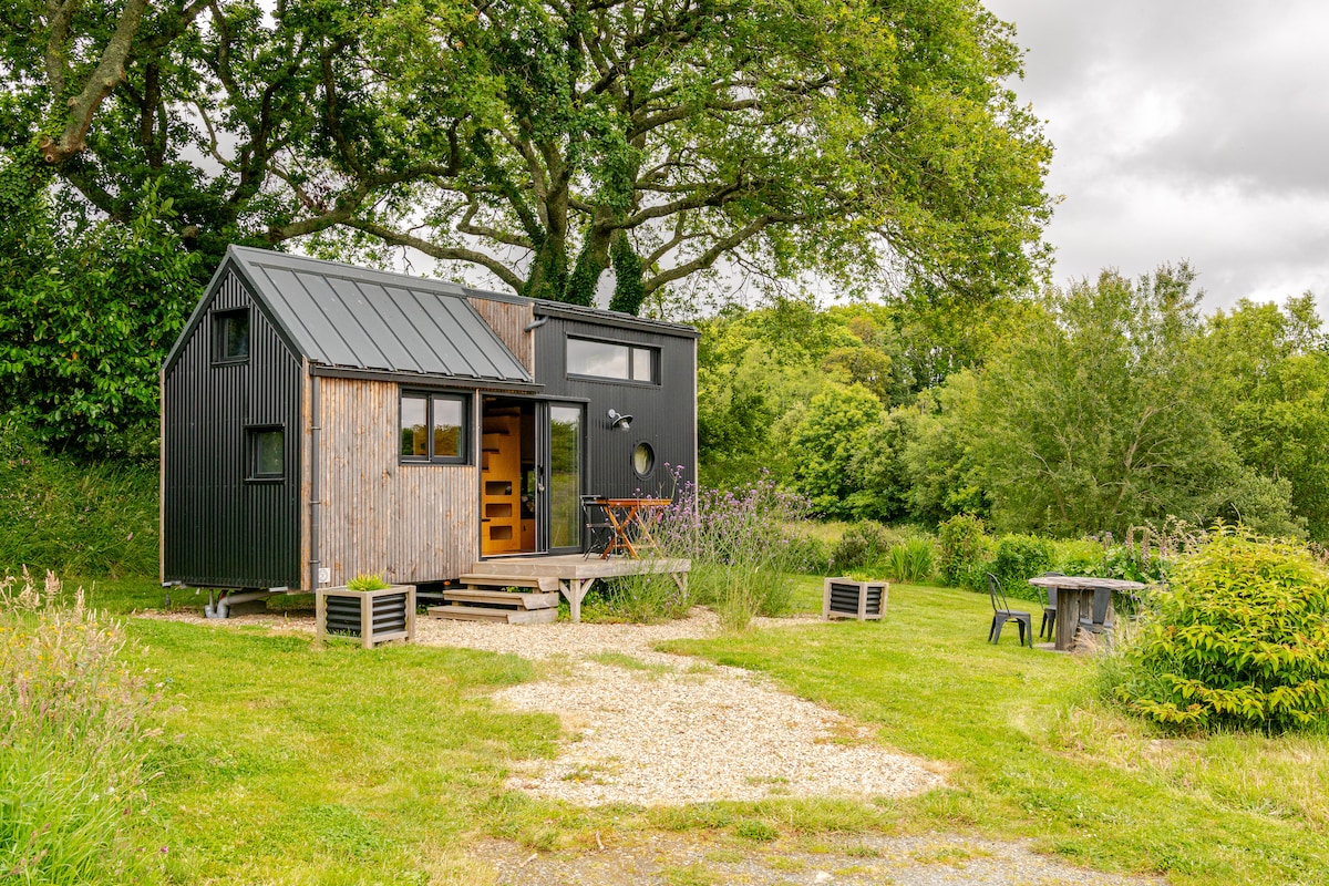 A charming tiny house constructed with black and wooden materials is set within a grassy area, surrounded by trees. A small patio extends from the house, equipped with a seating arrangement. The landscape features natural greenery and a gravel pathway leading up to the entrance.