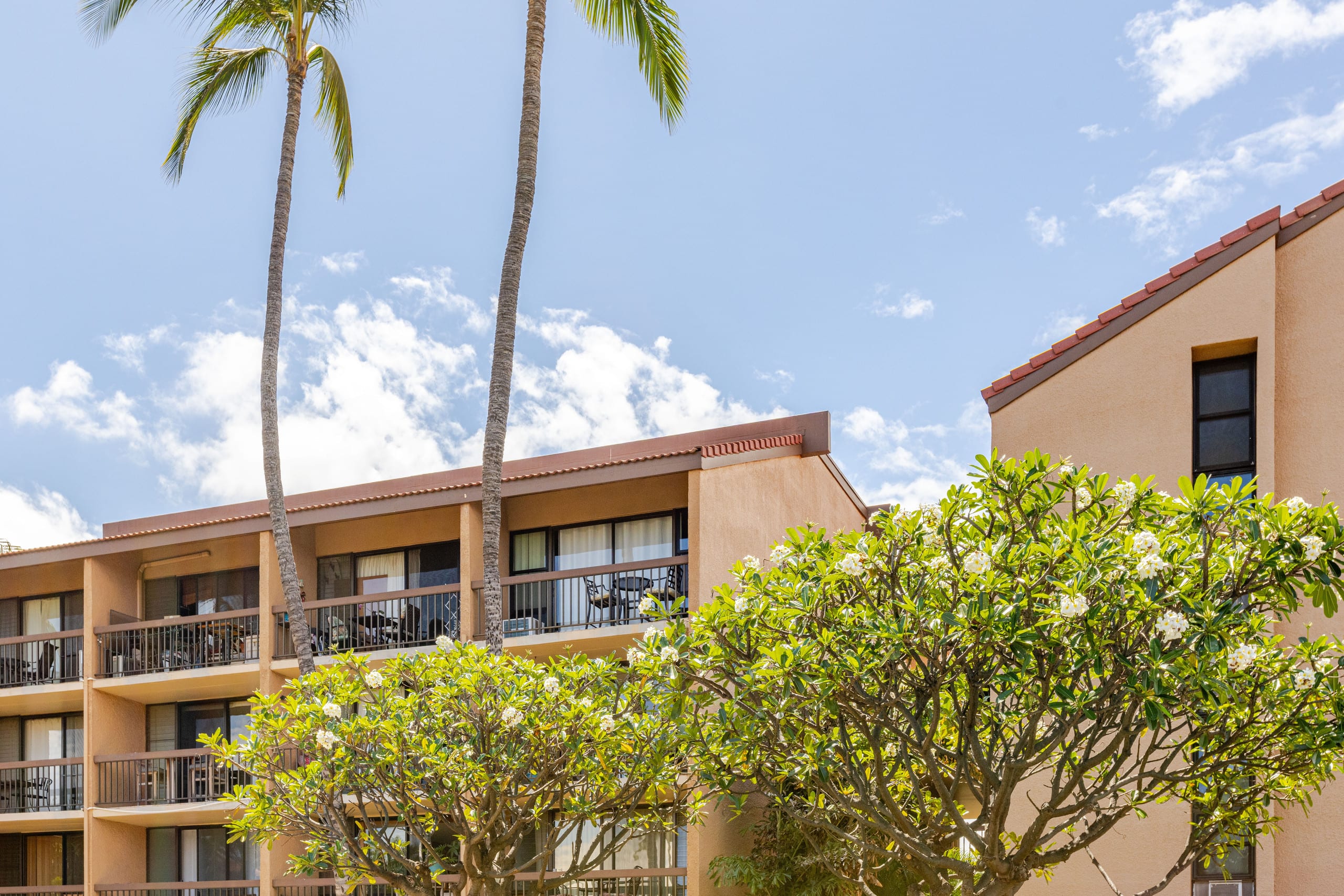 Condo in Kihei · ★4.84 · 2 bedrooms · 3 beds · 2 private baths - Image 25
