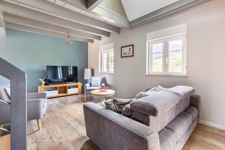 Maison De Vacances De La Porte Haute3 éToiles - Alsace
