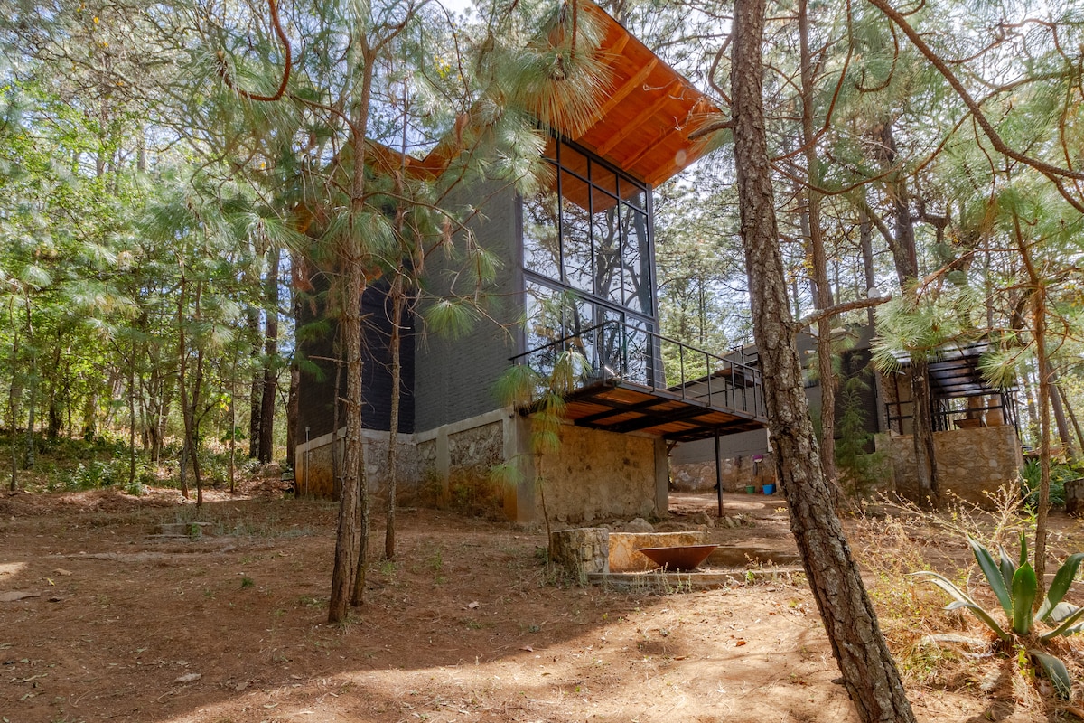 A secluded cabin is nestled among tall pine trees, showcasing an elevated design with large glass windows. The exterior features a mixture of dark walls and a wooden roof, blending harmoniously with the natural surroundings. A stone pathway leads to a private outdoor area.