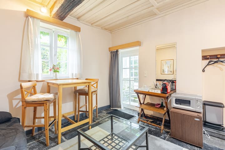 Maisonnette Duplex Très Cosy En Pierres Du Pays - ワンズ