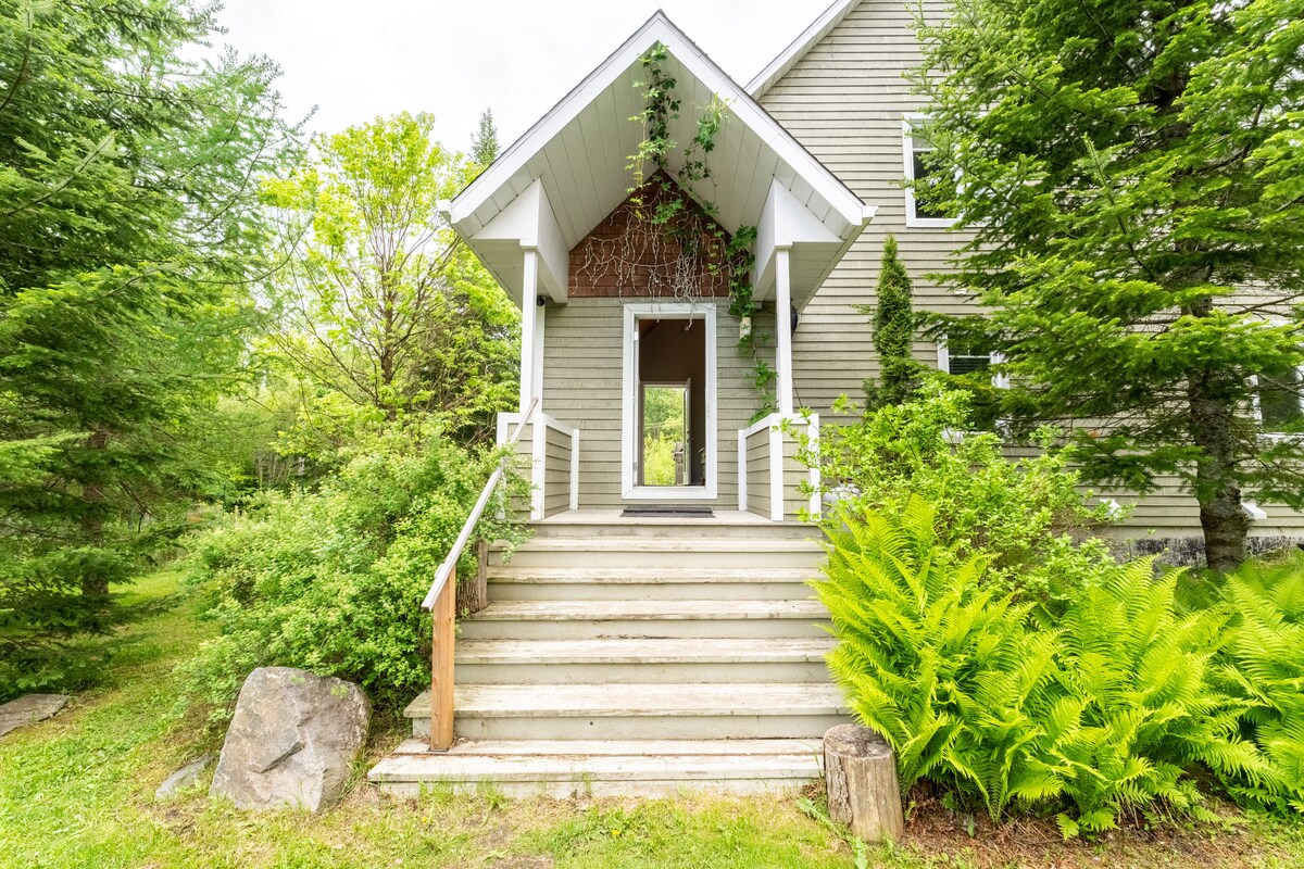 A welcoming entrance features a set of wooden steps leading up to a covered porch. Lush greenery surrounds the pathway, with ferns and small shrubs framing the entrance. The door is flanked by decorative elements and leads into the interior of the chalet.