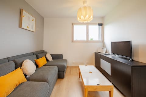 Top performing Airbnb: Independent 2-bedroom apartment by Lake Geneva in Publier