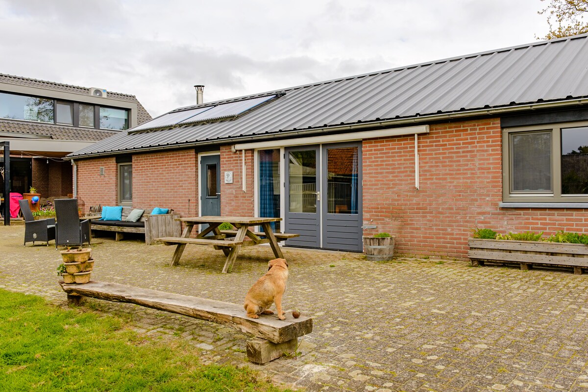 The exterior of the vacation home features a spacious patio area with a picnic table and wooden benches. A brown dog is seen sitting on a low wooden beam. The brick facade is complemented by large windows and a gray metal roof.