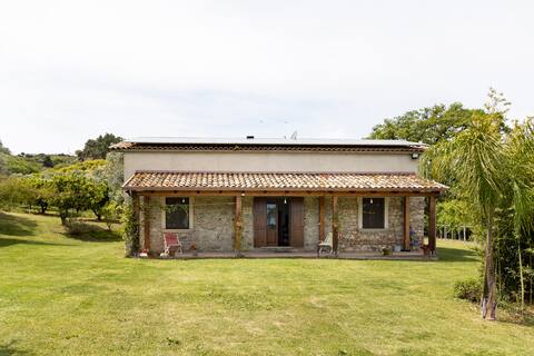 Agriturismo A Pignara - Il Limone
