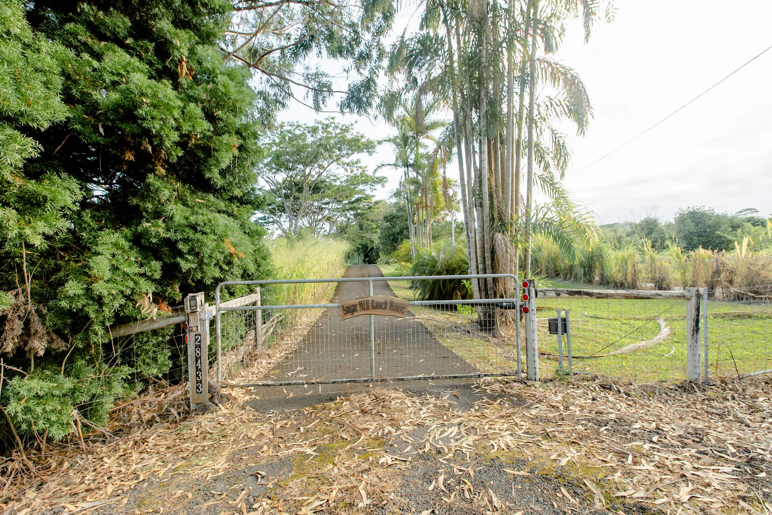 Home in Pepeekeo · ★4.94 · 2 bedrooms · 2 beds · 2 baths - Photo 31