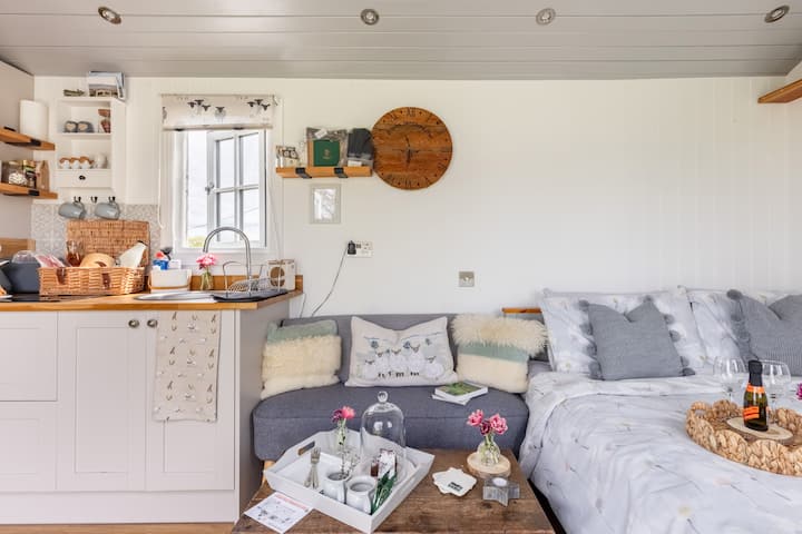 Elvan Farm Shepherd's Hut, Devon - Okehampton
