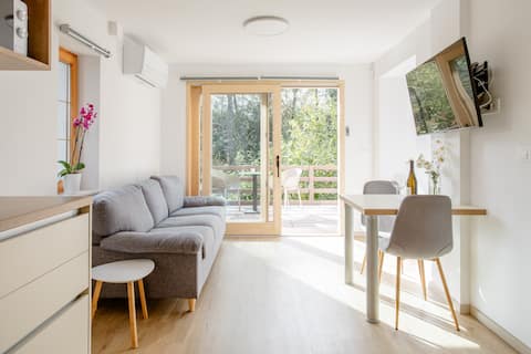 Top Airbnb: Beautiful Studio in Radovljica