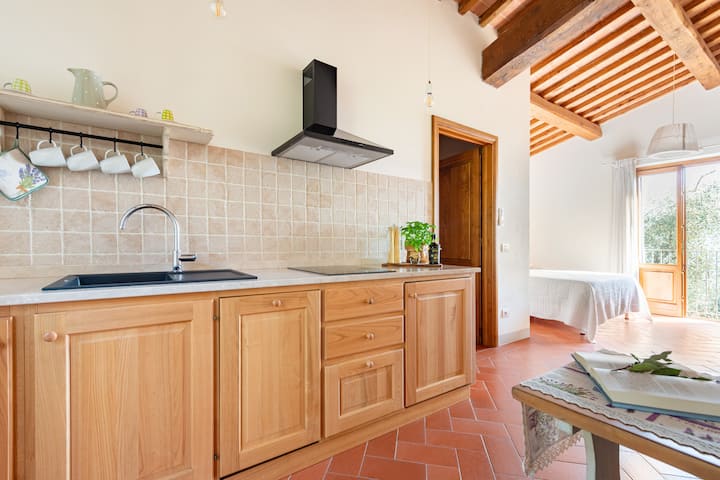 Monolocale Codirosso In Agriturismo Fonteregia - Montecatini Terme