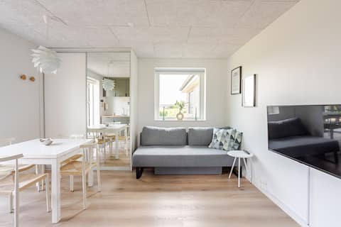 Private apartment with 4 sleeping places close to Skanderborg