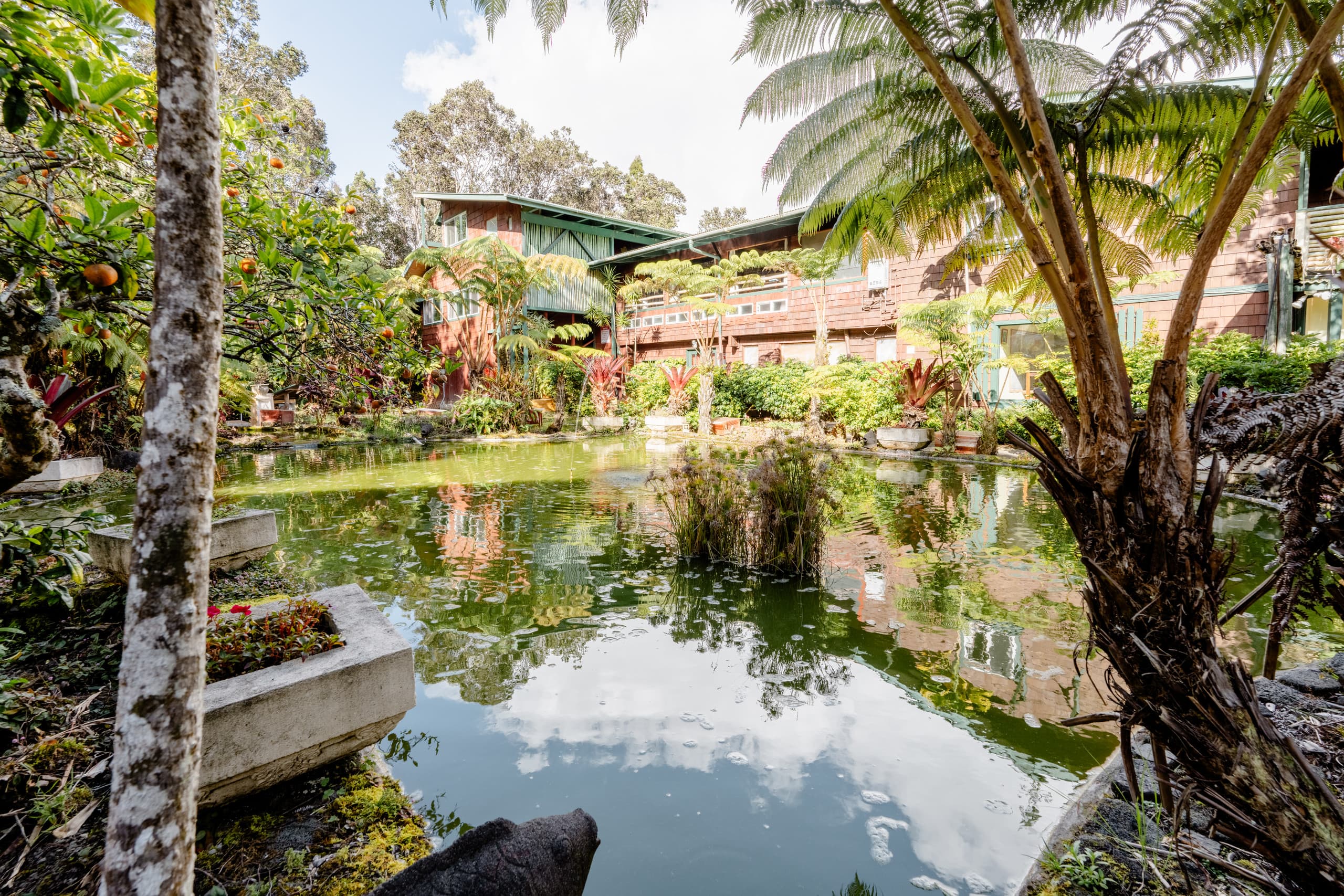 Nature lodge in Volcano · ★4.86 · 1 bedroom · 1 bed · 1 private bath - Image 14