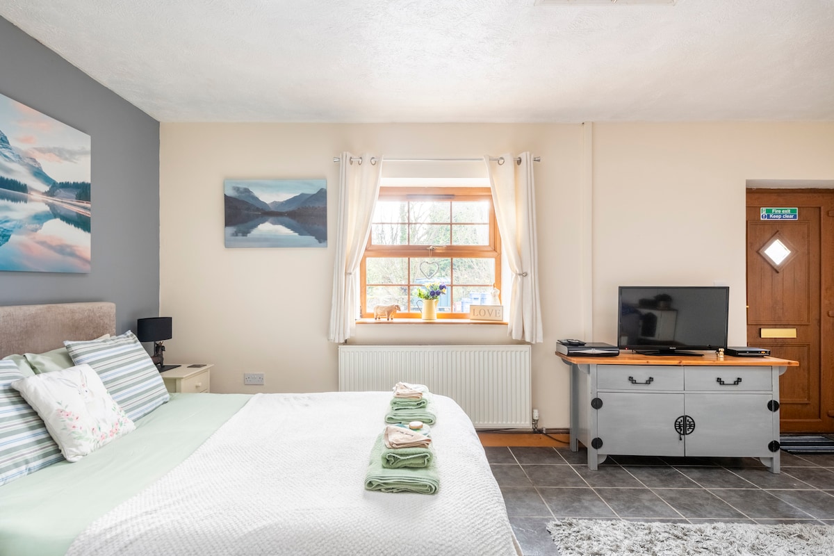 The studio features a king-sized bed with quality linens, complemented by scenic wall art. Natural light enters through a large window, while a modern television sits atop a stylish wooden console. An entrance door adds functionality to the welcoming space.