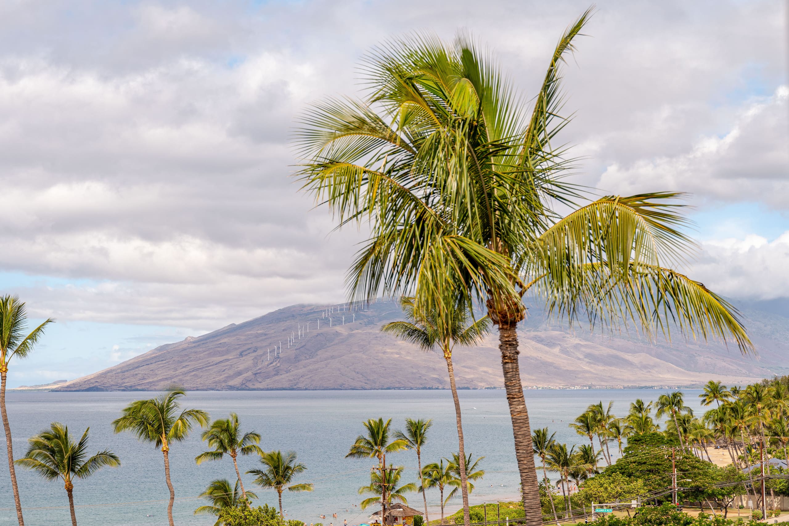 Condo in Kihei · ★4.97 · 1 bedroom · 2 beds · 1 bath - Image 30