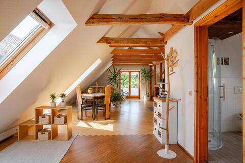 Bright apartment in a quiet location, with fireplace