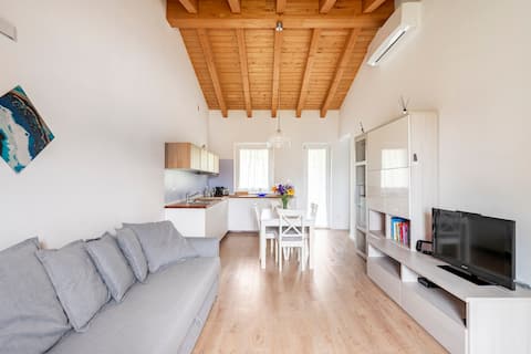 Top performing Airbnb: House on the Euganean Hills, "Giada" apartment in Padua