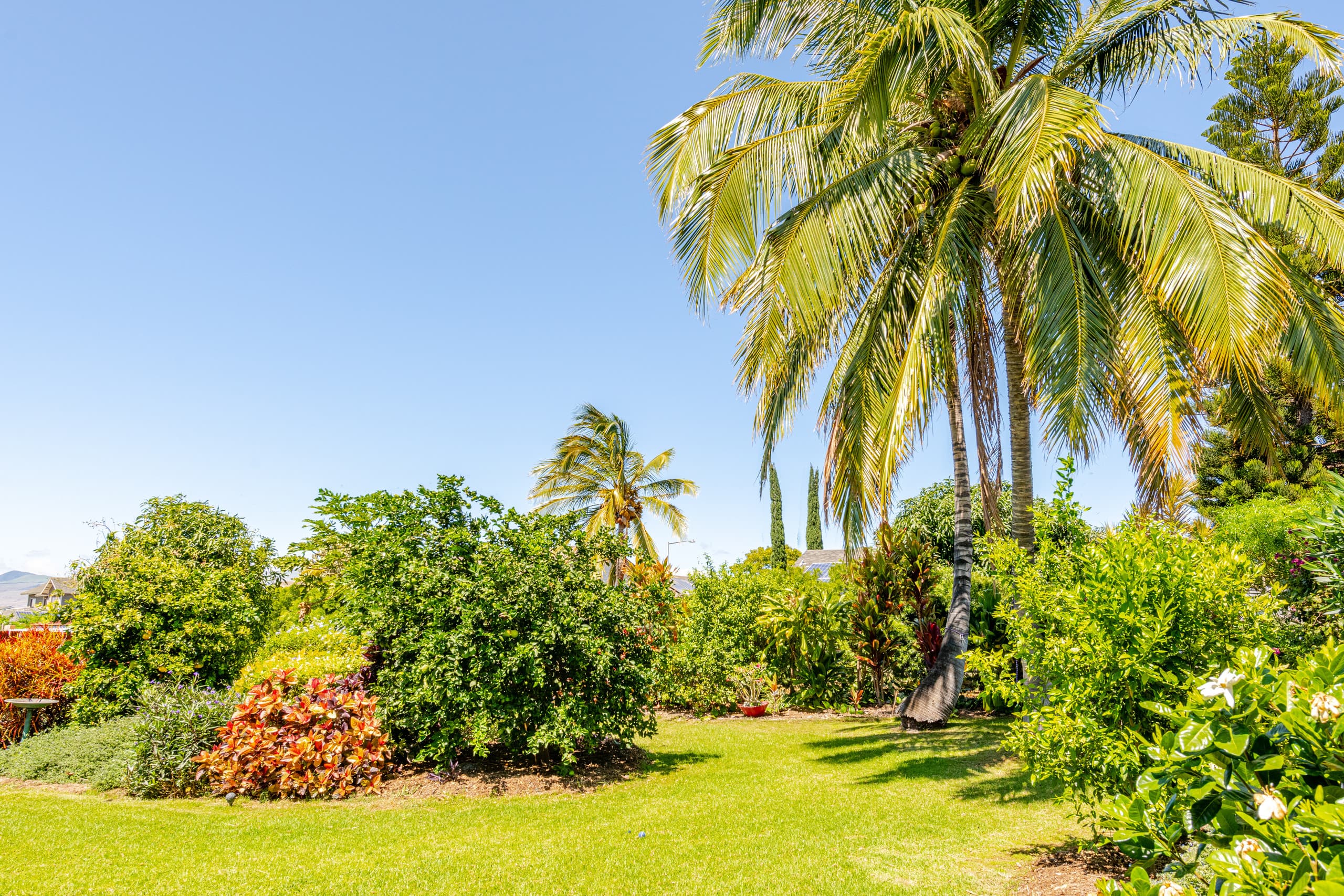 Jasmine Garden Suite with total privacy, Waikoloa - Photo 14