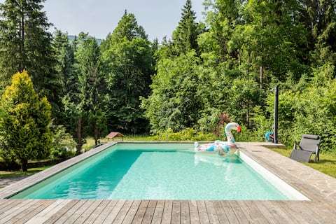 where the karst merges with the alps-only one dog