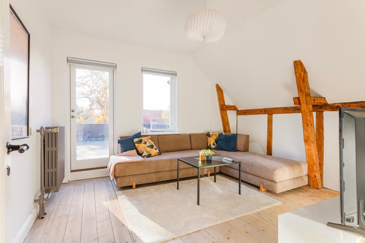 Historic Penthouse Apartment • Free Parking - Odense